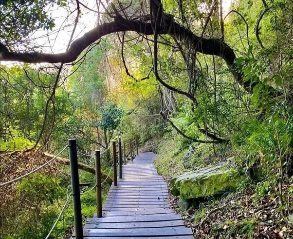 The Garden Route National Park