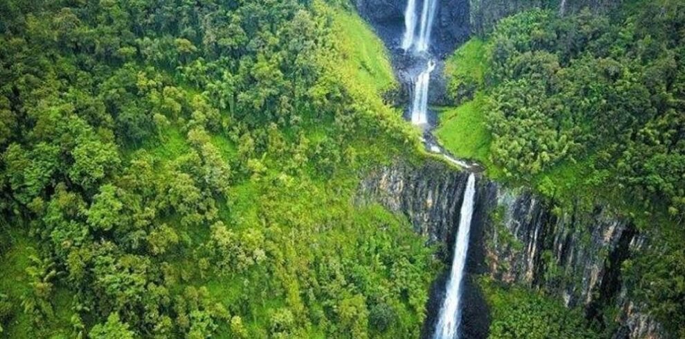 Aberdare national park