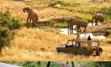 4-Day Maasai Mara Luxury Safari
