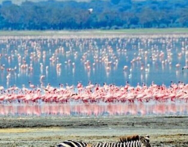 Ngorongoro Conservation Area