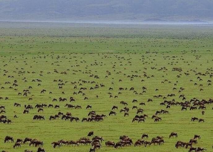 Serengeti National Park