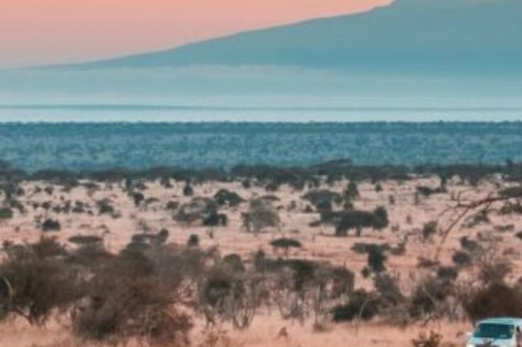 Tsavo west national park
