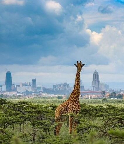 nairobi national park