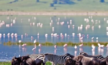  4 Days Tarangire & Lake Manyara Safari