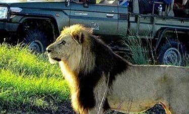 The Great Kenyan Circuit: Peaks, Plains & Predators(10 Days, 9 Nights)