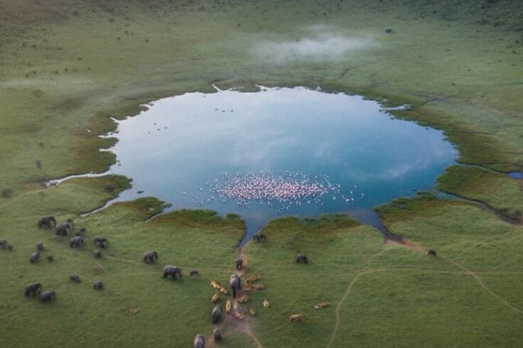Explore the Ngorongoro Crater — Tanzania’s Hidden Natural Gem