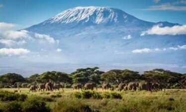 Mt. Kilimanjaro