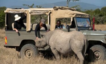 The East African Grandeur (Kenya & Tanzania)12 Days, 11 Nights
